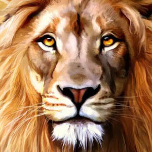 Meet your Posher, Gevorg